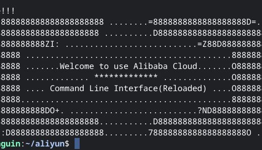 Chromebook から Alibaba Cloud CLI で Alibaba Cloud を操作する